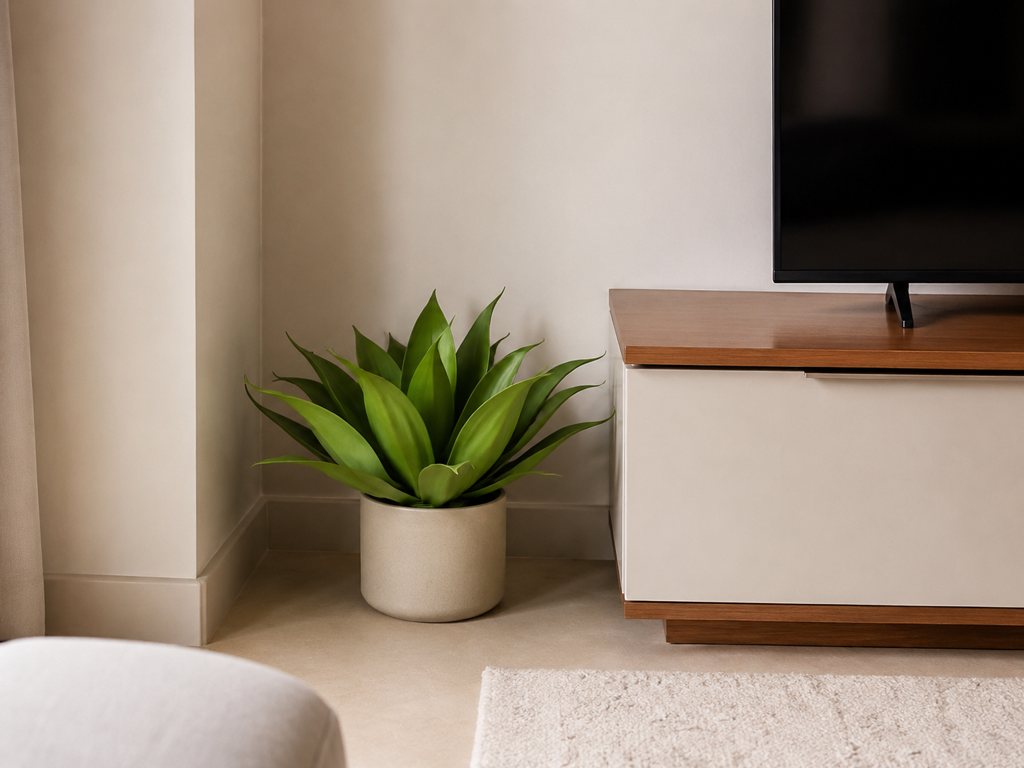 AGAVE — Plantas Permanentes Flora Decor