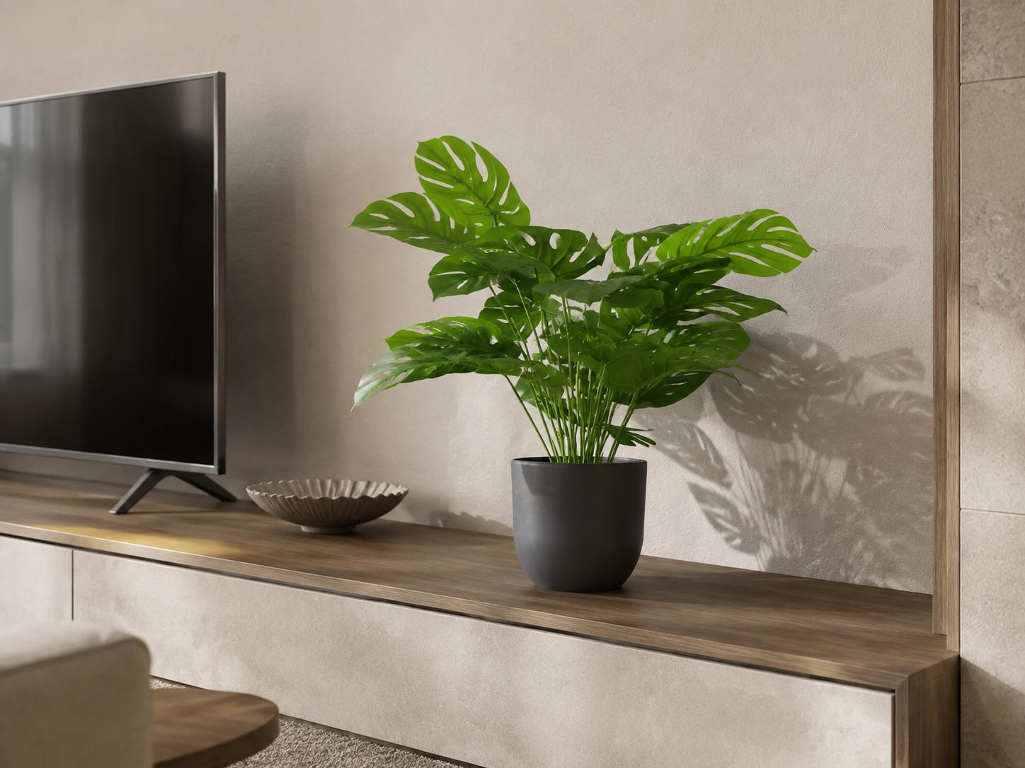 COSTELA ADÃO — Samambaias & Plantas Flora Decor