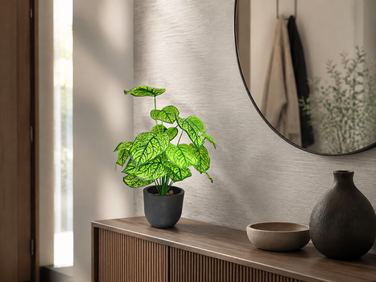 JIBÓIA — Samambaias & Plantas Flora Decor