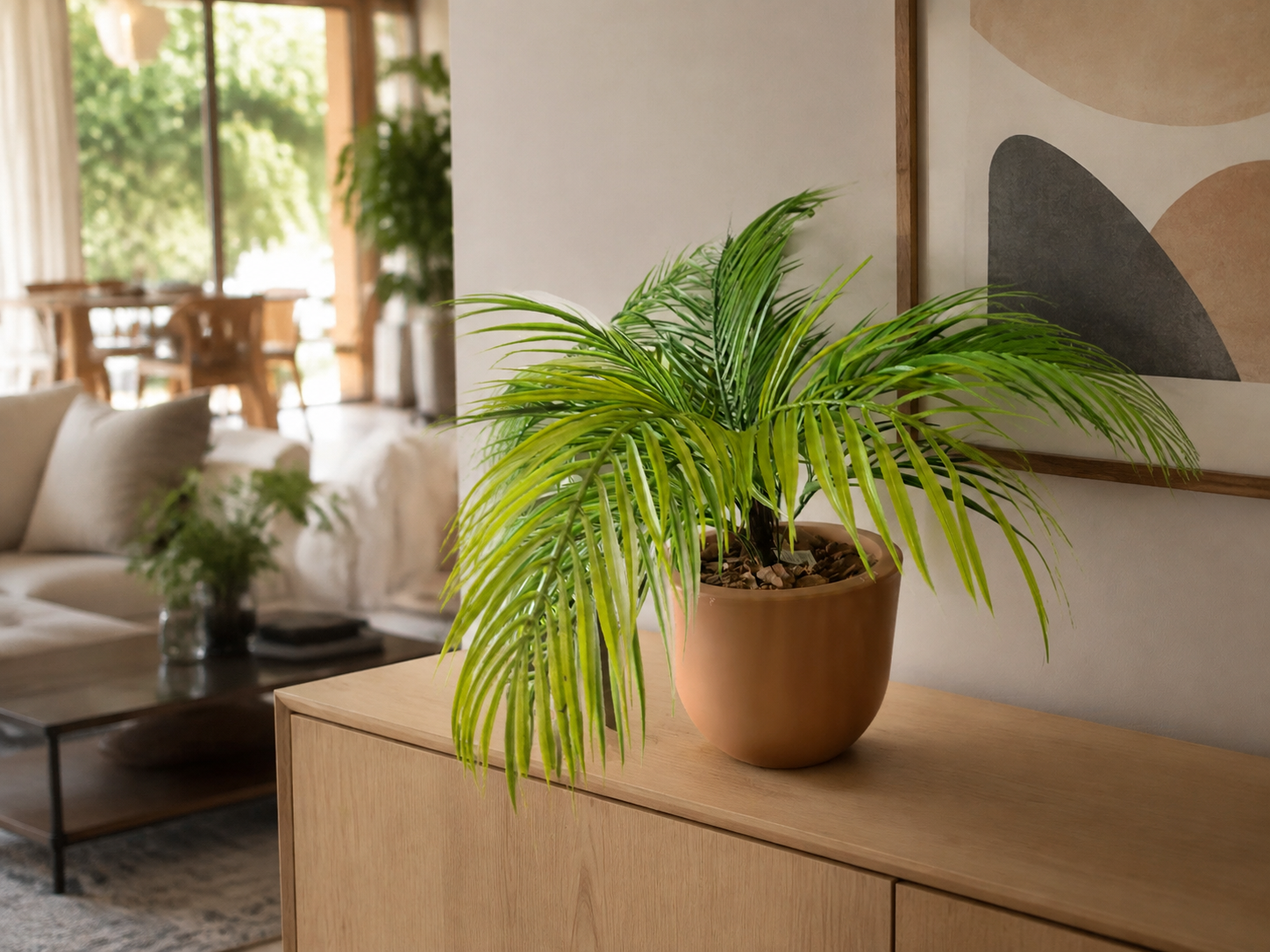 SAMAMBAIA — Samambaias & Plantas Flora Decor