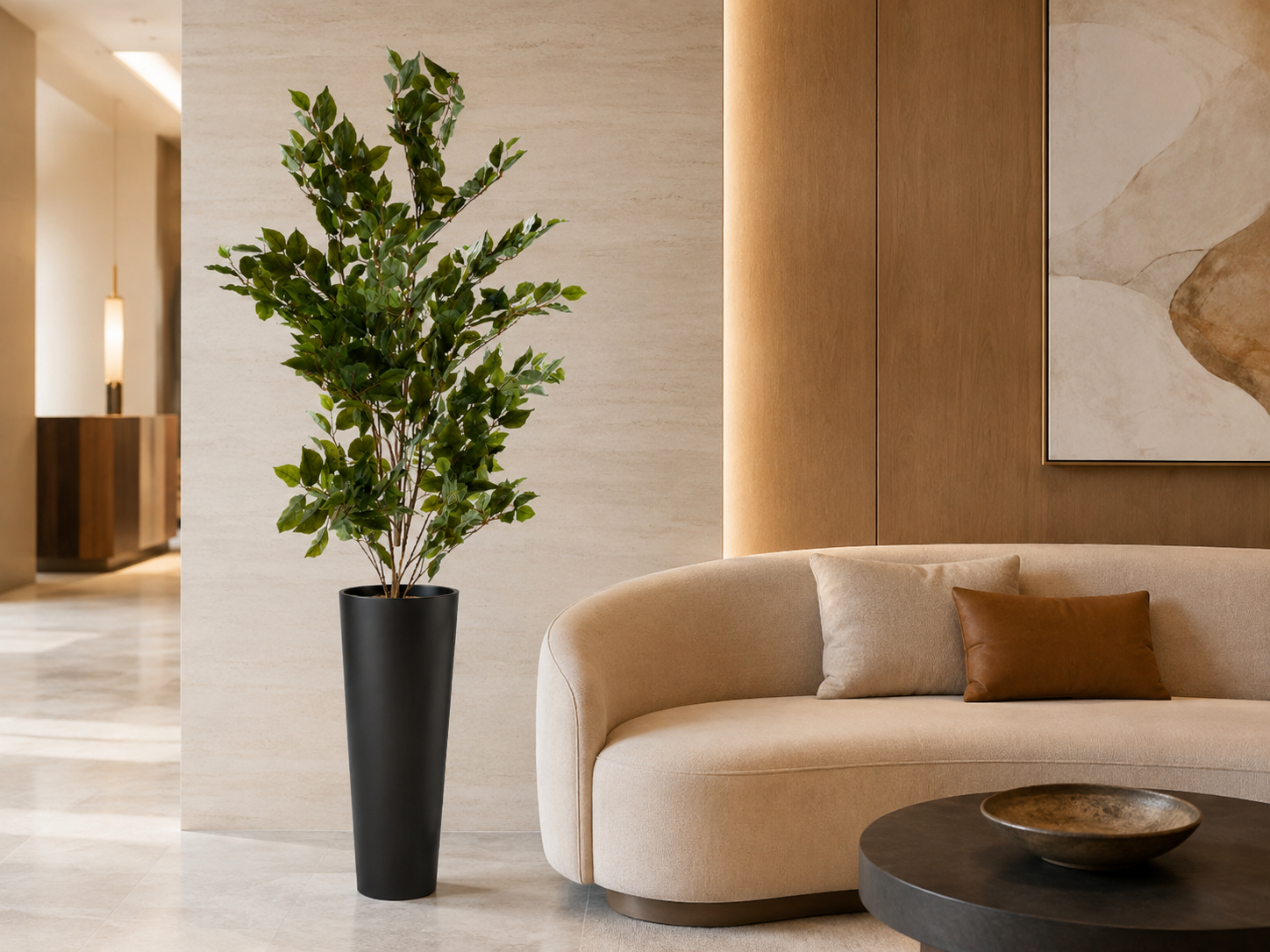 FICUS BENJAMINA — Plantas Permanentes Flora Decor